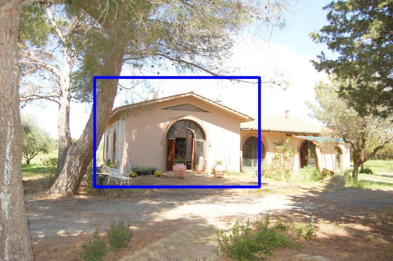 Appartement Relais Casale Il Poggetto - Olivo 2 By Zoom In Earth Cecina (Livorno)