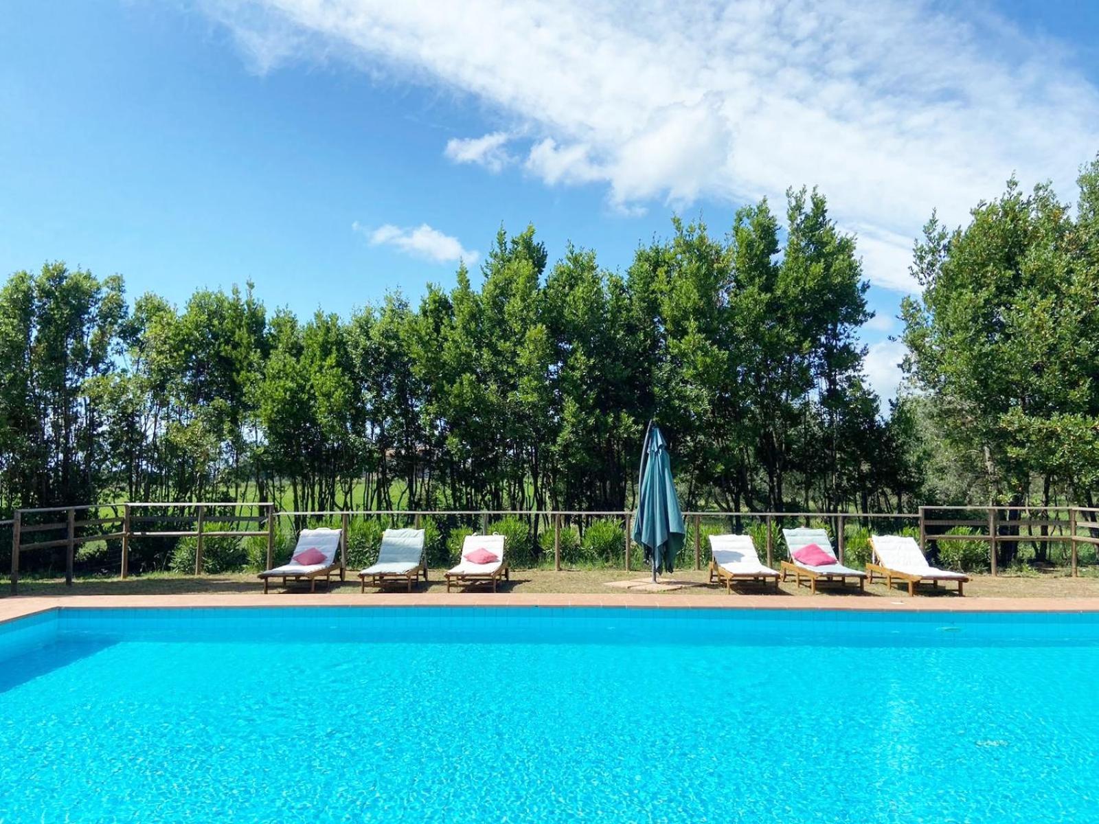 Apartment Relais Casale Il Poggetto - Olivo 2 By Zoom In Earth